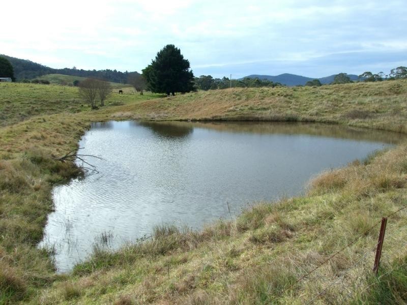 Lot 41-42 Mount Darragh Road, Wyndham NSW 2550