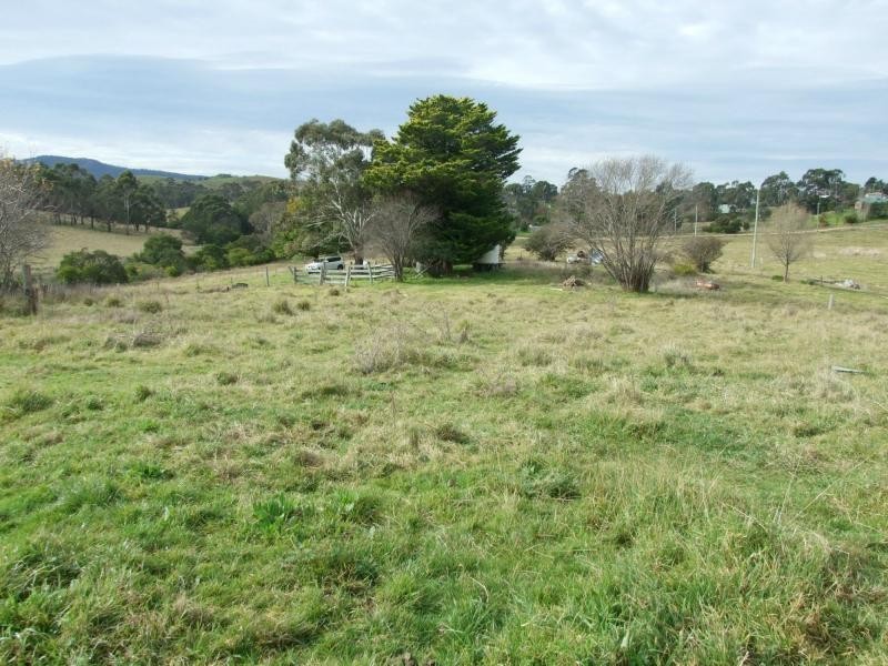 Lot 41-42 Mount Darragh Road, Wyndham NSW 2550