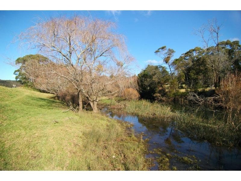 100 Yowaka River Road, Greigs Flat NSW 2549