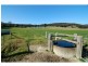 100 Yowaka River Road, Greigs Flat NSW 2549