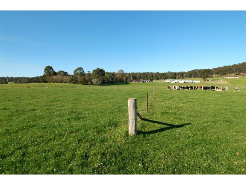 100 Yowaka River Road, Greigs Flat NSW 2549