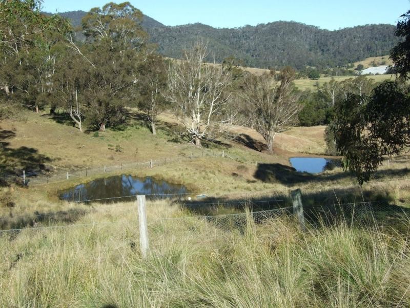 468 New Buildings Road, Wyndham NSW 2550