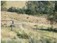 468 New Buildings Road, Wyndham NSW 2550