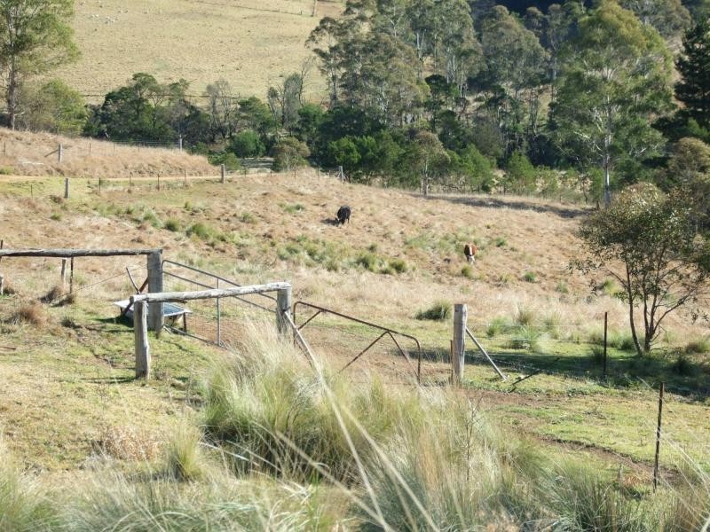468 New Buildings Road, Wyndham NSW 2550