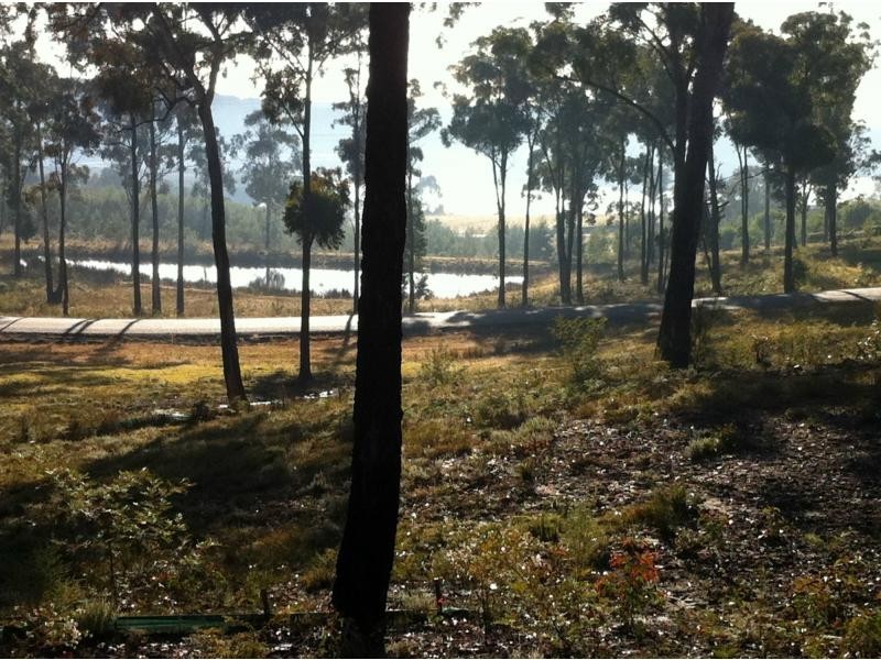 Lot 8 Grenenger Road, Pambula Lake Estate, Broadwater NSW 2549