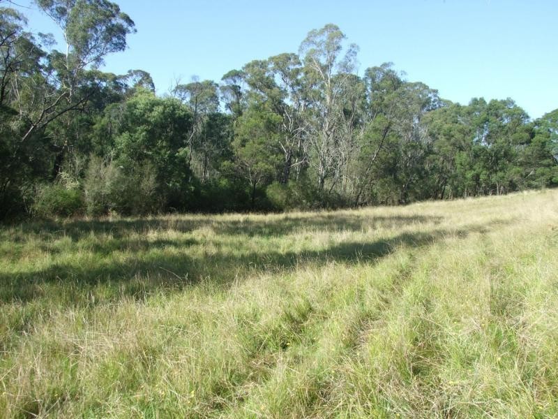 322 New Buildings Road, Wyndham NSW 2550