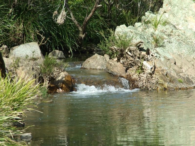 322 New Buildings Road, Wyndham NSW 2550