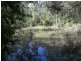 65 Mt Darragh Road, South Pambula NSW 2549
