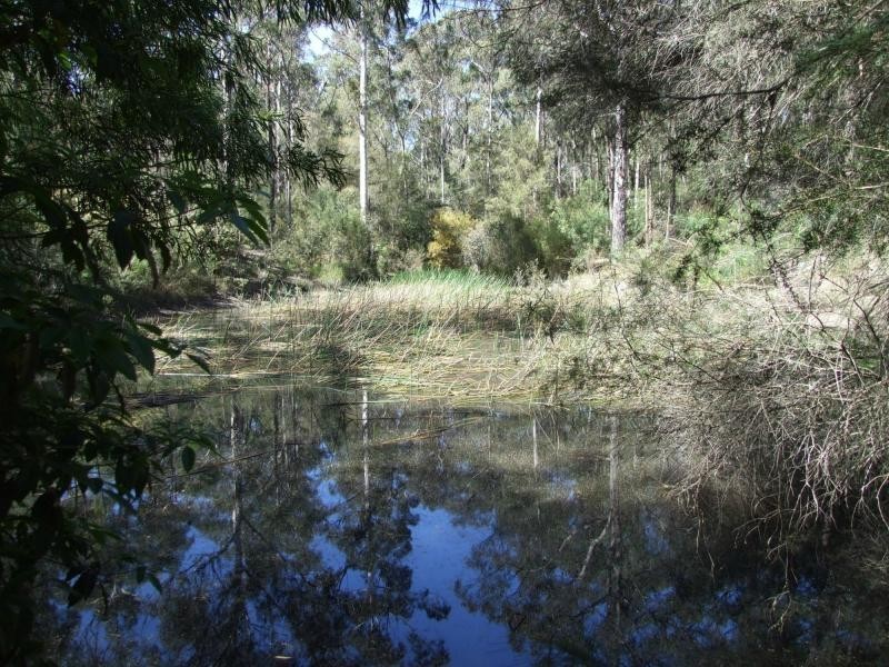 65 Mt Darragh Road, South Pambula NSW 2549
