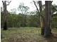 L241 Florabunda Lane, Nethercote NSW 2549