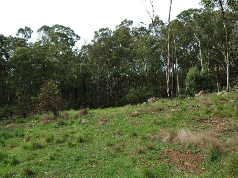 L241 Florabunda Lane, Nethercote NSW 2549