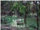 L241 Florabunda Lane, Nethercote NSW 2549