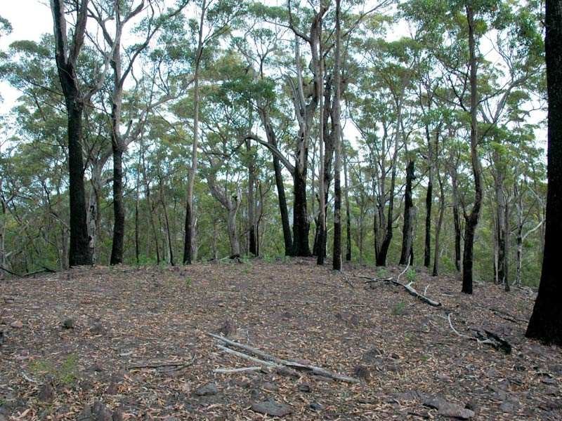 Lot 242 Florabunda Lane, Nethercote NSW 2549