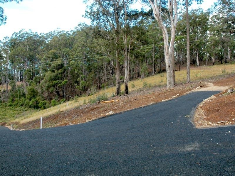 Lot 242 Florabunda Lane, Nethercote NSW 2549