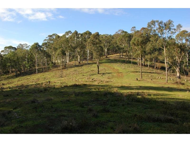 Lot 243 Florabunda Lane, Nethercote NSW 2549