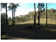 Lot 243 Florabunda Lane, Nethercote NSW 2549