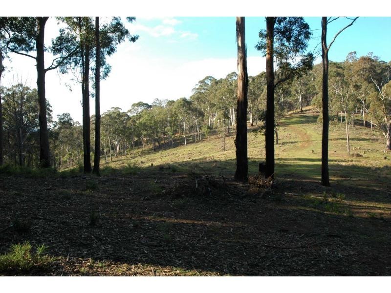 Lot 243 Florabunda Lane, Nethercote NSW 2549