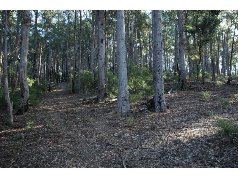 Lot 243 Florabunda Lane, Nethercote NSW 2549