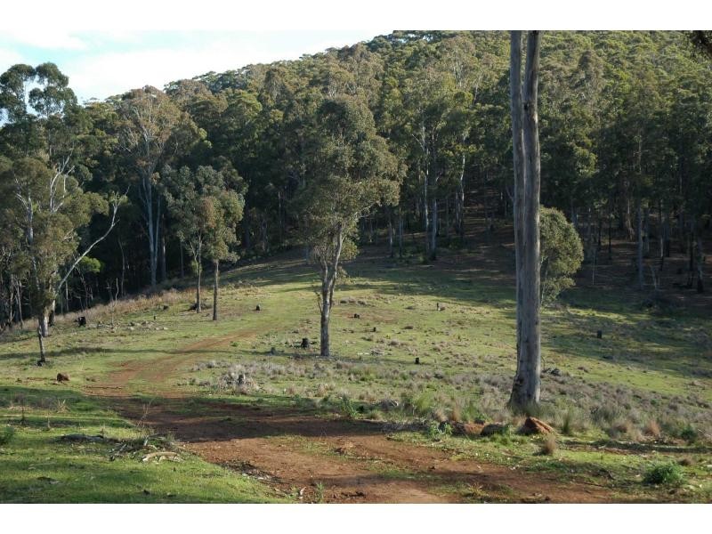 Lot 243 Florabunda Lane, Nethercote NSW 2549