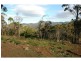 Lot 244 Florabunda Lane, Nethercote NSW 2549