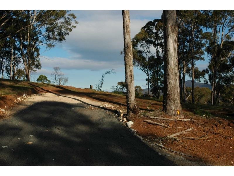 Lot 244 Florabunda Lane, Nethercote NSW 2549