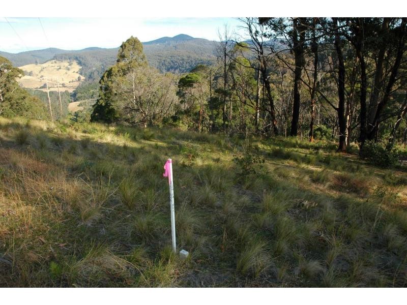 Lot 244 Florabunda Lane, Nethercote NSW 2549