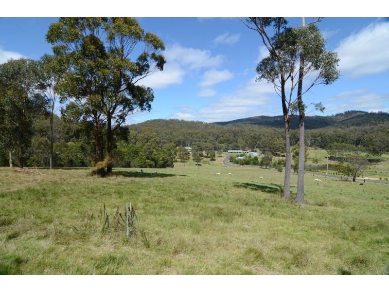 965 Back Creek Road, Nethercote NSW 2549
