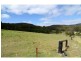 965 Back Creek Road, Nethercote NSW 2549