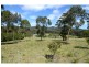 965 Back Creek Road, Nethercote NSW 2549