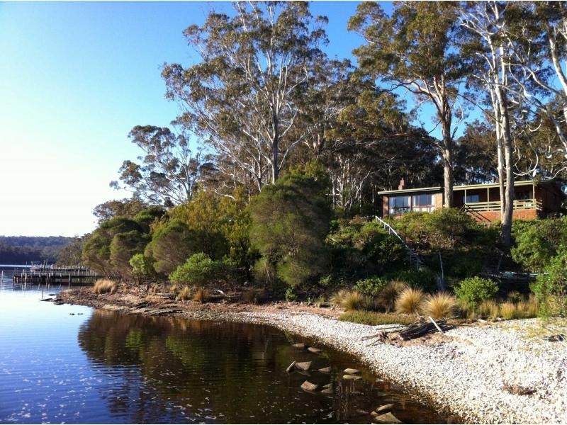 203 Daunceys Road, Wonboyn NSW 2551