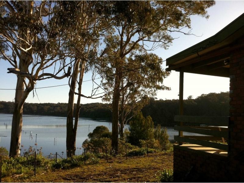 203 Daunceys Road, Wonboyn NSW 2551