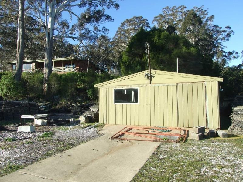203 Daunceys Road, Wonboyn NSW 2551