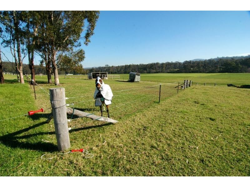 100 Yowaka River Road, Greigs Flat NSW 2549