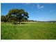 100 Yowaka River Road, Greigs Flat NSW 2549