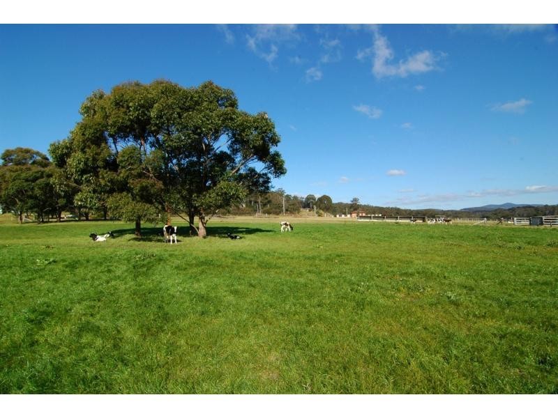 100 Yowaka River Road, Greigs Flat NSW 2549