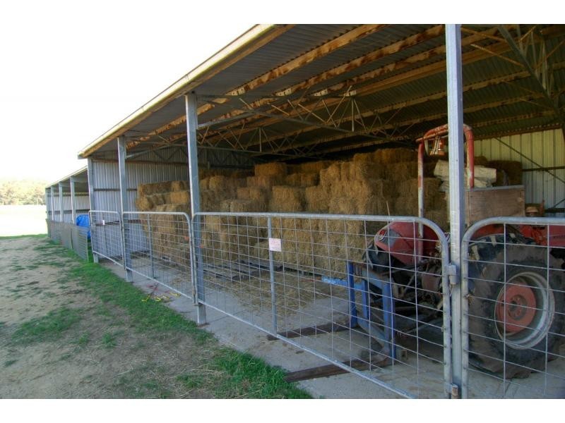 100 Yowaka River Road, Greigs Flat NSW 2549