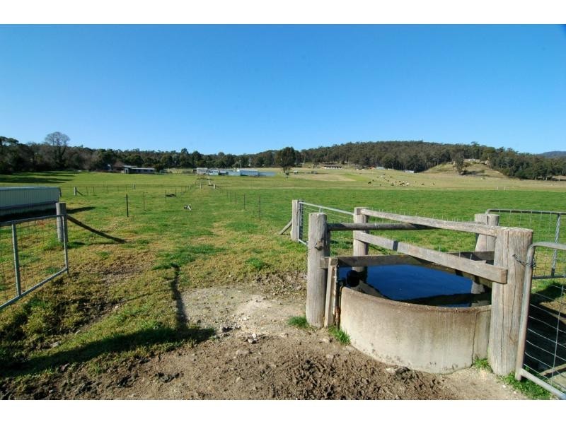 100 Yowaka River Road, Greigs Flat NSW 2549