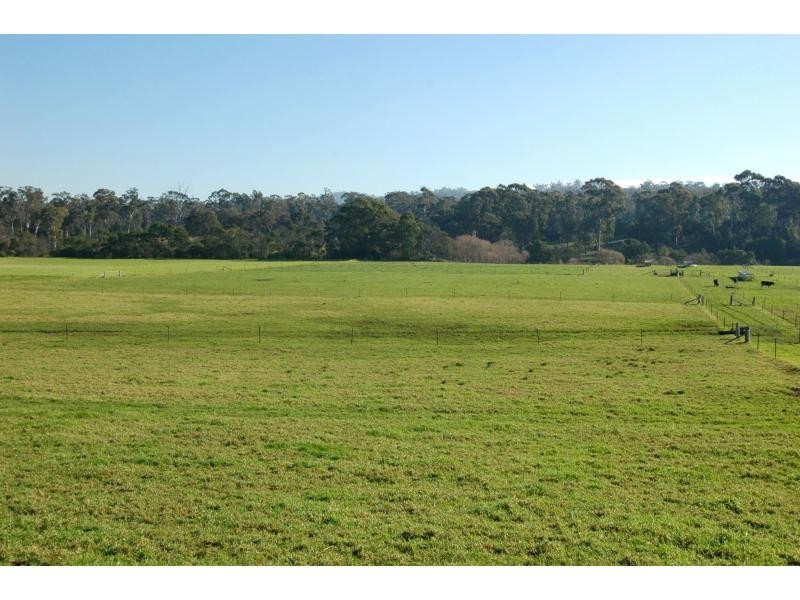 100 Yowaka River Road, Greigs Flat NSW 2549