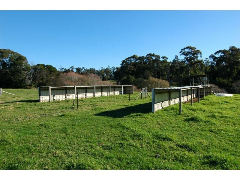 100 Yowaka River Road, Greigs Flat NSW 2549