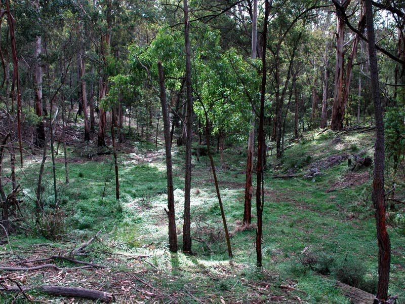 Nethercote NSW 2549