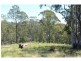 Nethercote NSW 2549