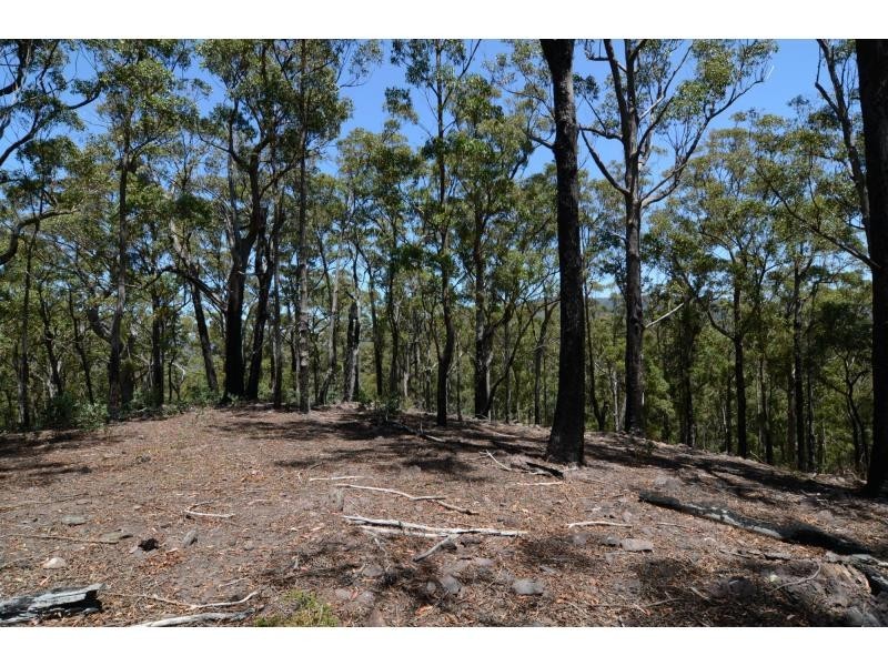 Nethercote NSW 2549