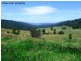 449 Sheepskin Road, Burragate NSW 2550