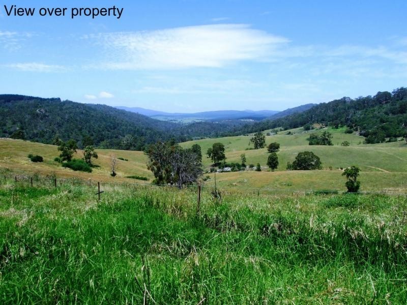 449 Sheepskin Road, Burragate NSW 2550