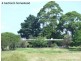 449 Sheepskin Road, Burragate NSW 2550
