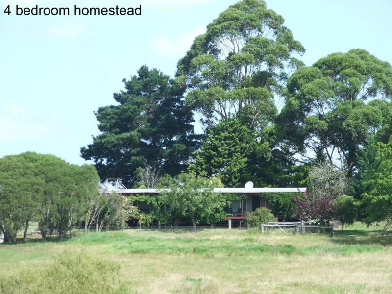 449 Sheepskin Road, Burragate NSW 2550