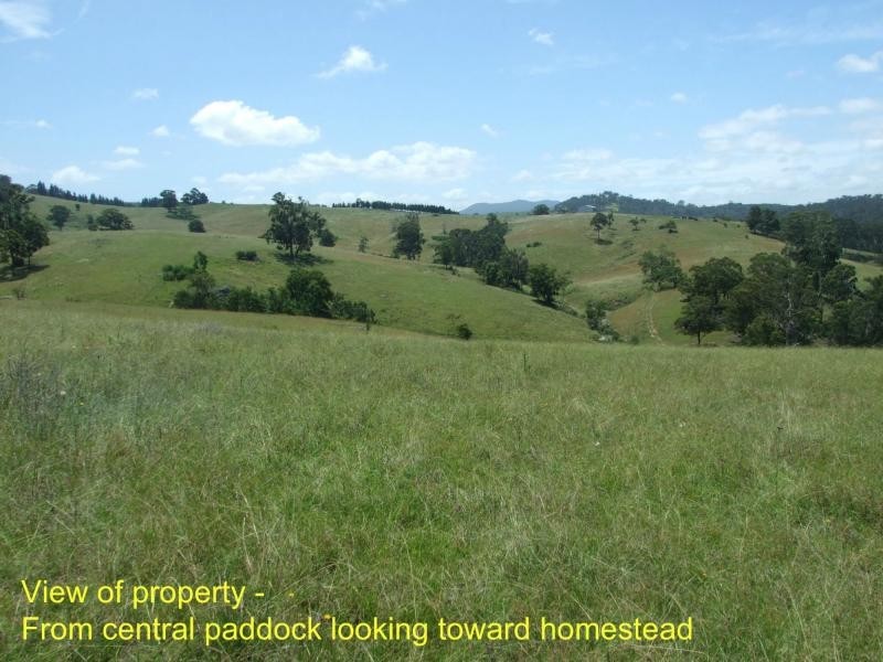 449 Sheepskin Road, Burragate NSW 2550