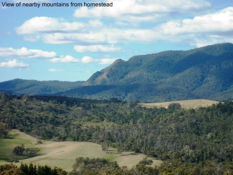 449 Sheepskin Road, Burragate NSW 2550