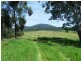 449 Sheepskin Road, Burragate NSW 2550