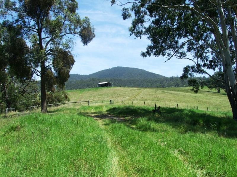 449 Sheepskin Road, Burragate NSW 2550